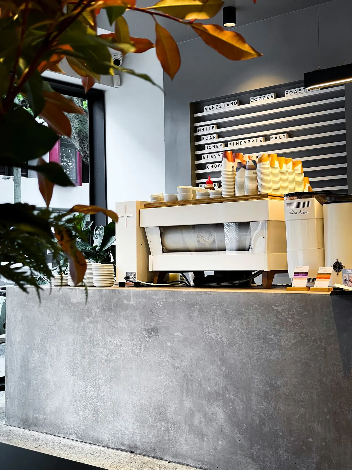 The Ultimate Guide to Opening a Specialty Coffee Shop from Concept to Launch